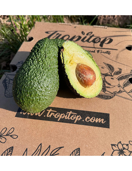 Avocados Online Kaufen | Bestellen aus Spanien - Tropitop