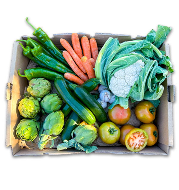 Comprar Caja de Verduras de Temporada Online en Tropitop