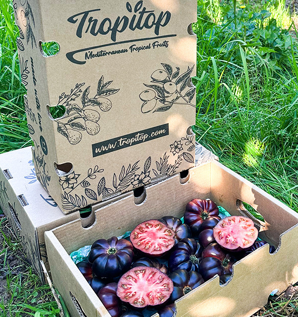 Buy Blue Tomato Online at Tropitop