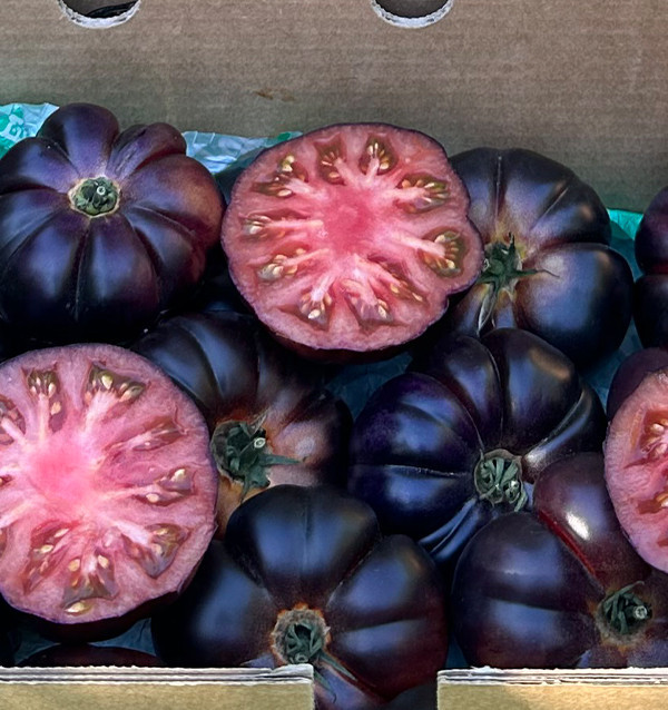 Buy Blue Tomato Online at Tropitop