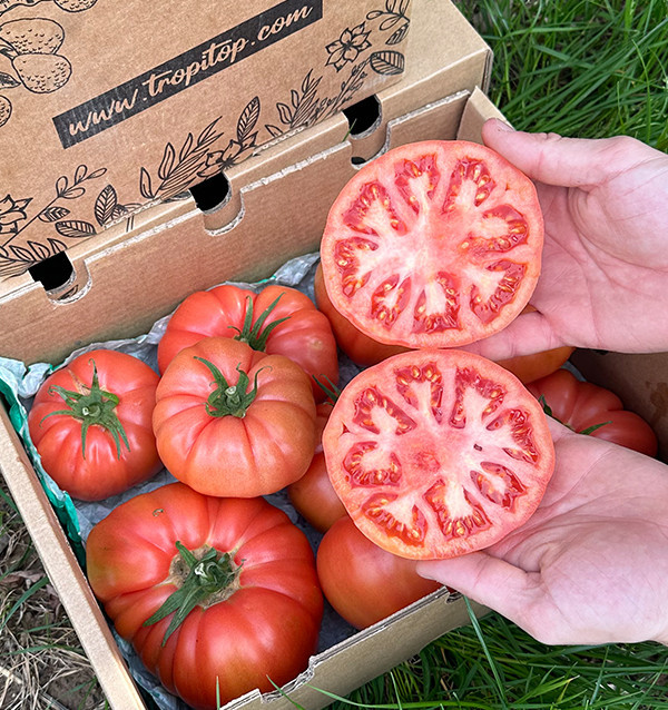 Comprar Tomate Rosa Online en Tropitop