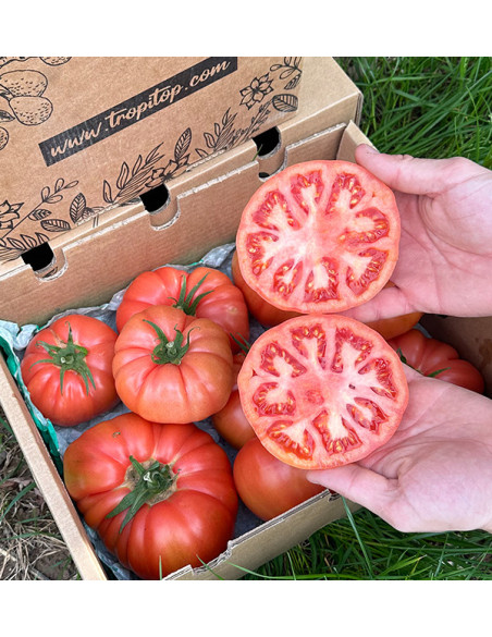 Comprar Tomate Rosa Online en Tropitop