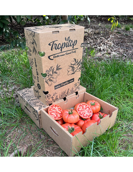 Comprar Tomate Rosa Online en Tropitop