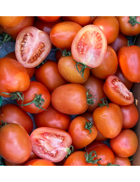 Acquista Pomodoro Pera Online su Tropitop