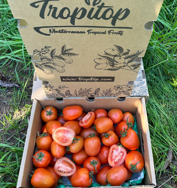 Acquista Pomodoro Pera Online su Tropitop