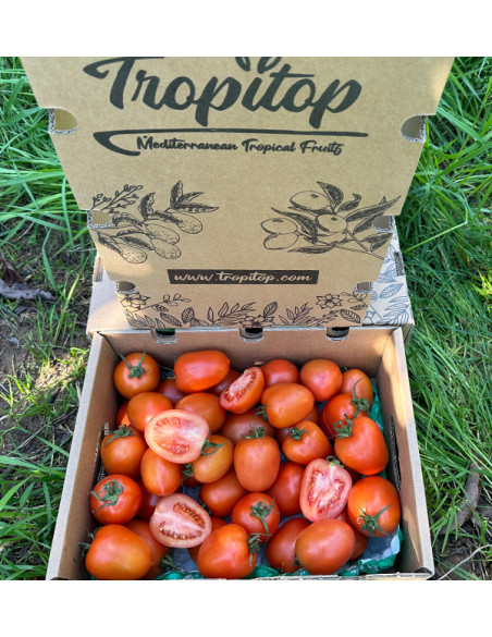 Comprar Tomate Pera Online na Tropitop