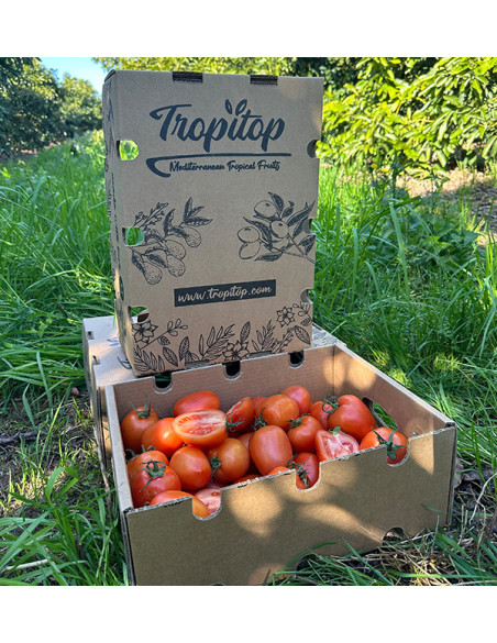 Acquista Pomodoro Pera Online su Tropitop