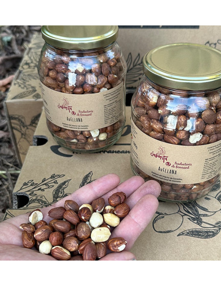 Buy hazelnuts online from Tropitop