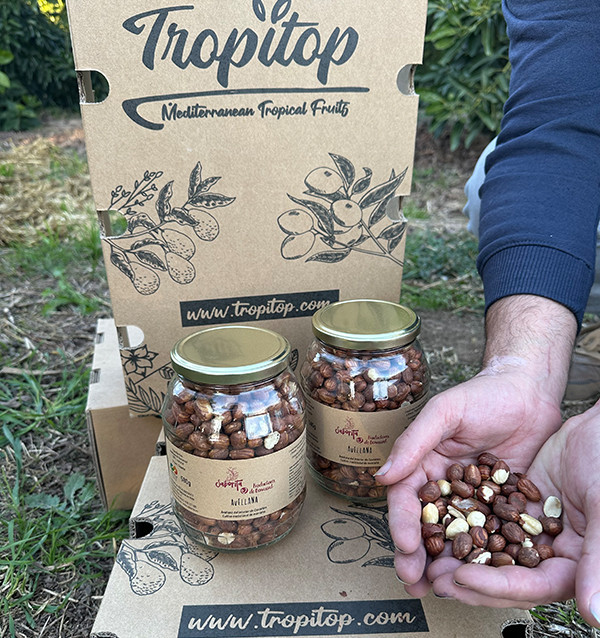 Haselnüsse online kaufen bei Tropitop