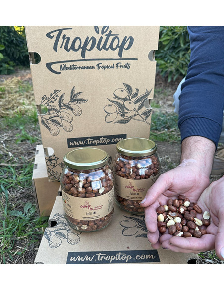 Buy hazelnuts online from Tropitop