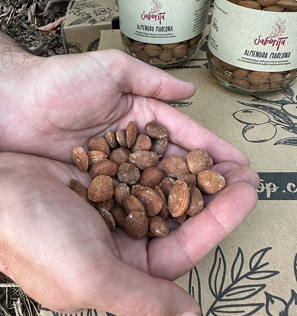 Buy Almonds Online at Tropitop