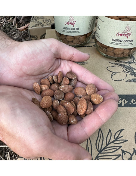 Acheter des Amandes en Ligne sur Tropitop