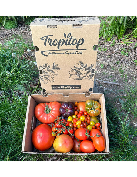 Comprar Pack Tomates variados de Temporada Online | Tomates Premium | Tropitop