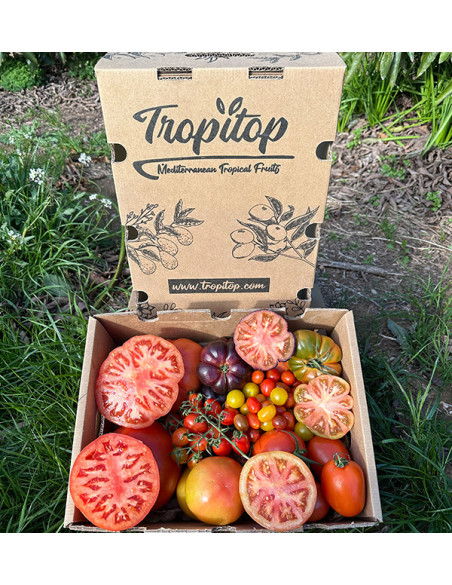 Comprar Pack Tomates variados de Temporada Online | Tomates Premium | Tropitop