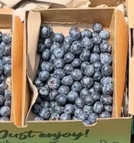Comprar mirtilos online na Tropitop | Direto do campo para a sua mesa