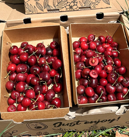Comprar Cerejas Online na Tropitop | Cerejas Frescas de Castellón