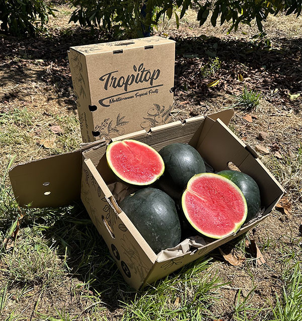 Buy Black Watermelon Online at Tropitop