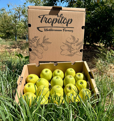 Grüne Äpfel online kaufen | Frische und knackige Äpfel