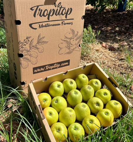 Buy Green Apples Online | Fresh and Crunchy Apples