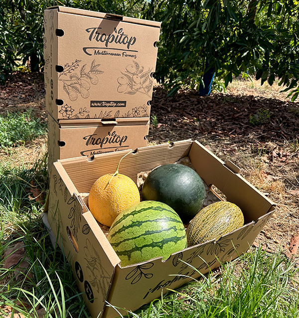 Pack Pastèques et Melons | Acheter des fruits d'été en ligne 2