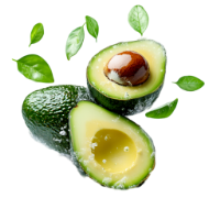 Votre panier est vide