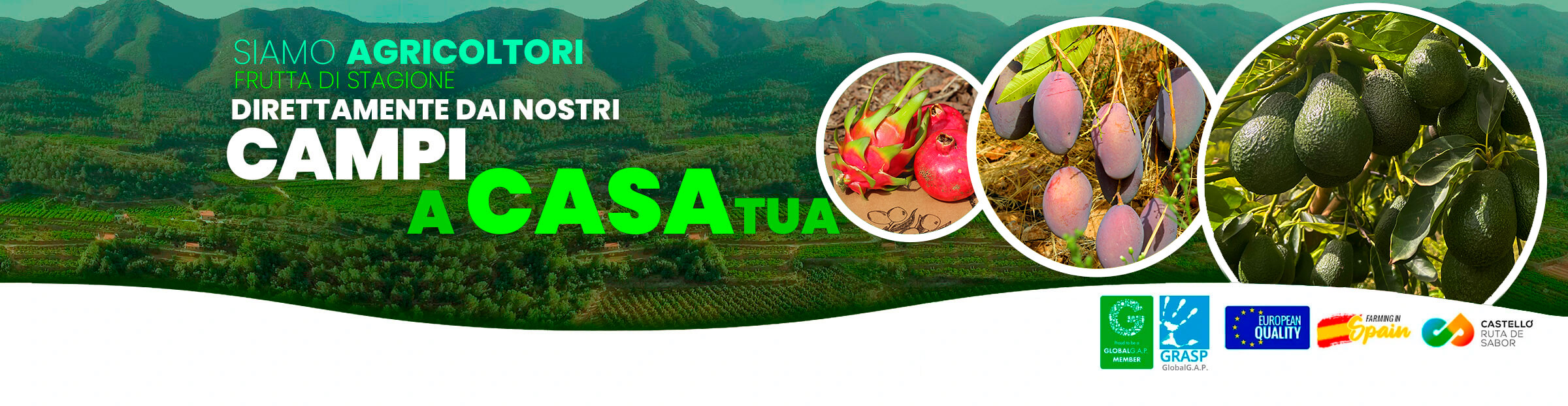 Comprar frutas y verduras directamente al agricultor