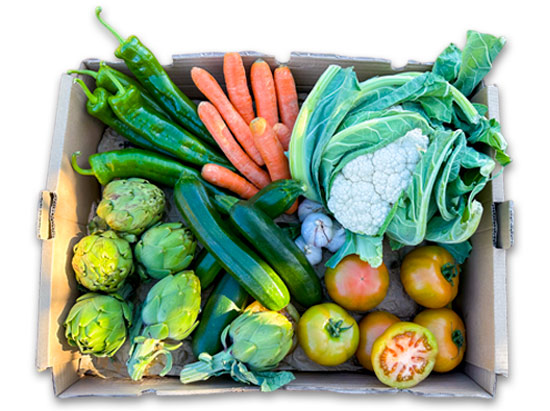 Saisonale Gemüsekiste