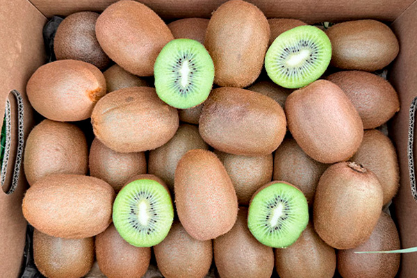 Comprar Kiwi verdes