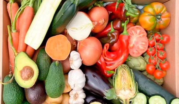 Selección de verduras de temporada