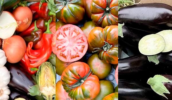 Verduras de temporada Tropitop