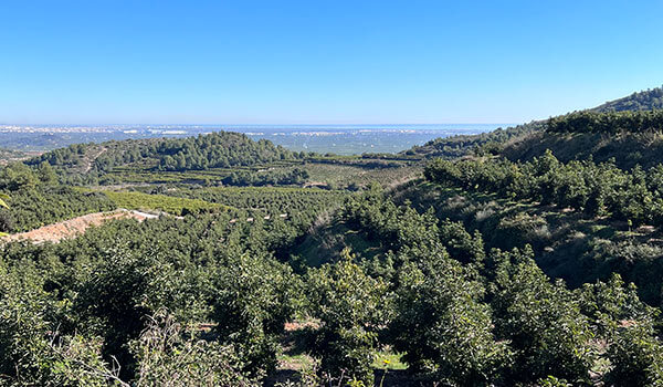 nossa-fazenda