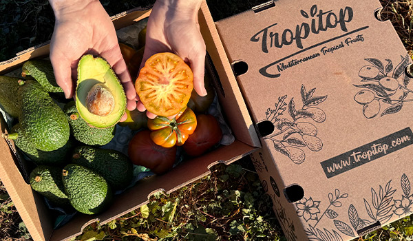 frutas