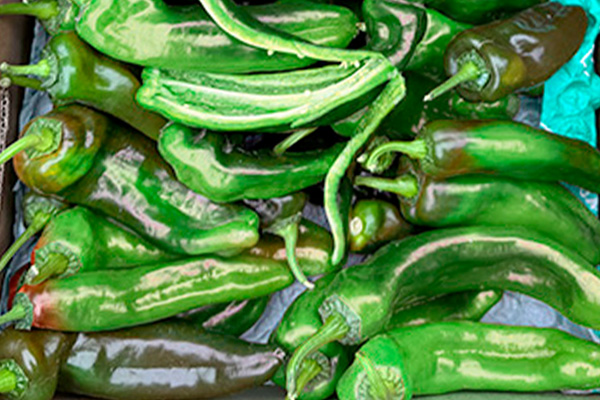 Pimentos Italianos Vermelhos