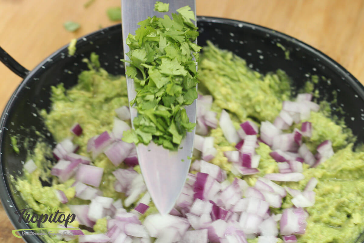 Guacamole Receita - Passo  8