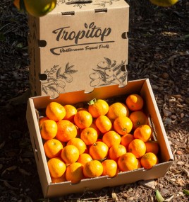 La mandarine, ou « fruit du fonctionnaire »