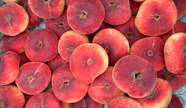 Tropitop flat peach farmers