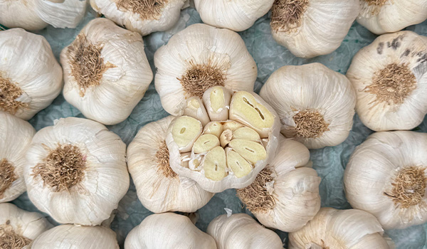 Weißer Knoblauch