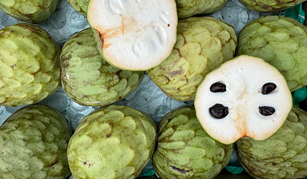 Cherimoya