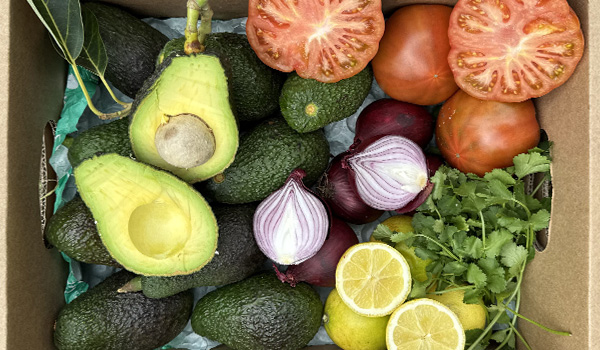 Pack guacamole