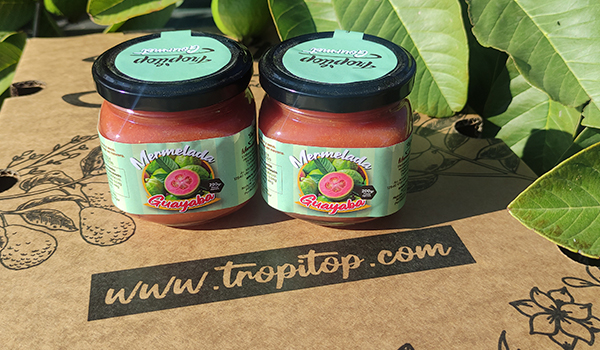 Mel Tropitop