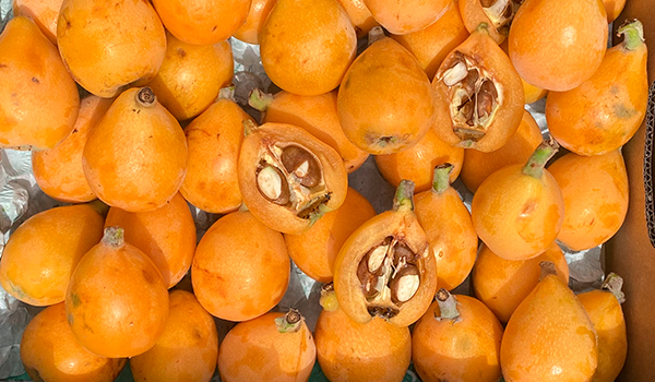 Cassetta di nespole fresche
