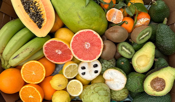 Pack de Fruits