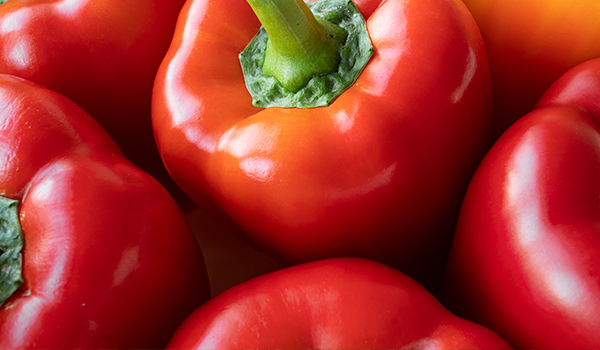 Red pepper fields