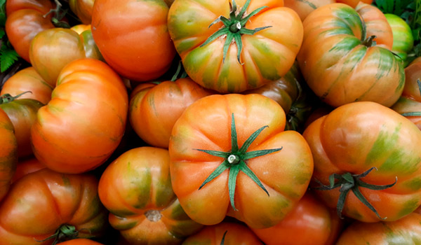 tomaten